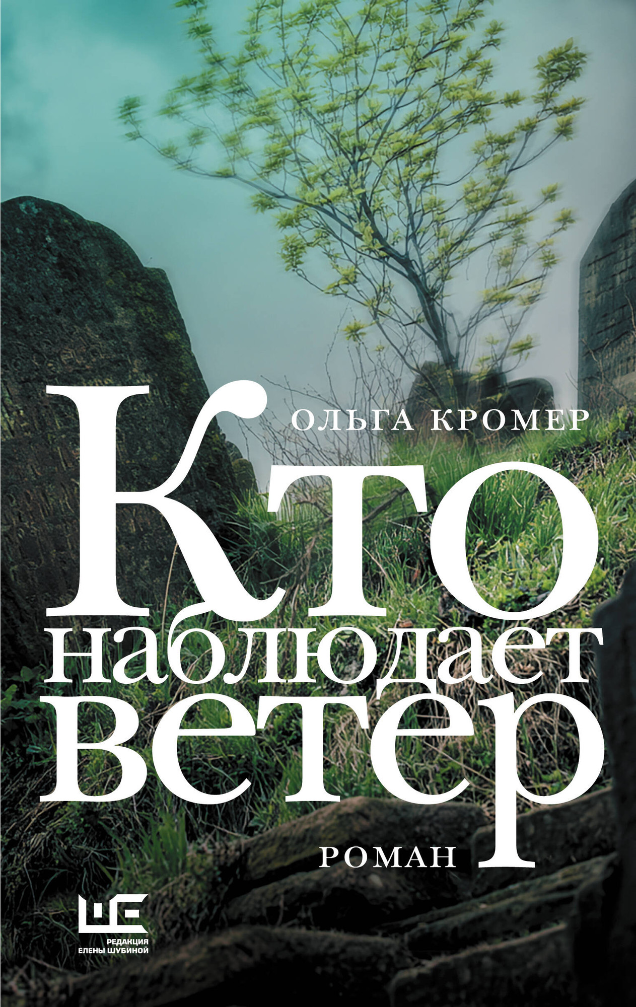 Художественная книга АСТ Кто наблюдает ветер (Кромер О. 9785171835873)