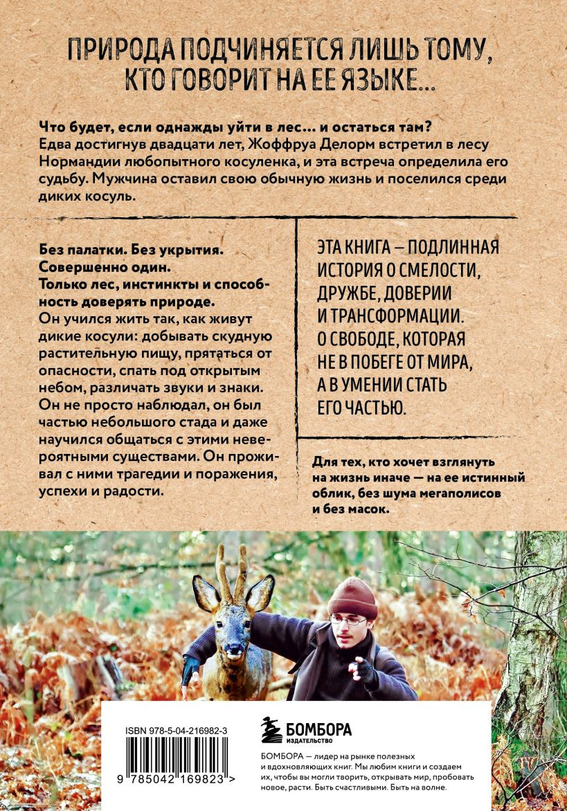 Нехудожественная книга Бомбора Дыхание леса. 7 лет дикой жизни (Делорм Ж. 9785042169823) — фото 2