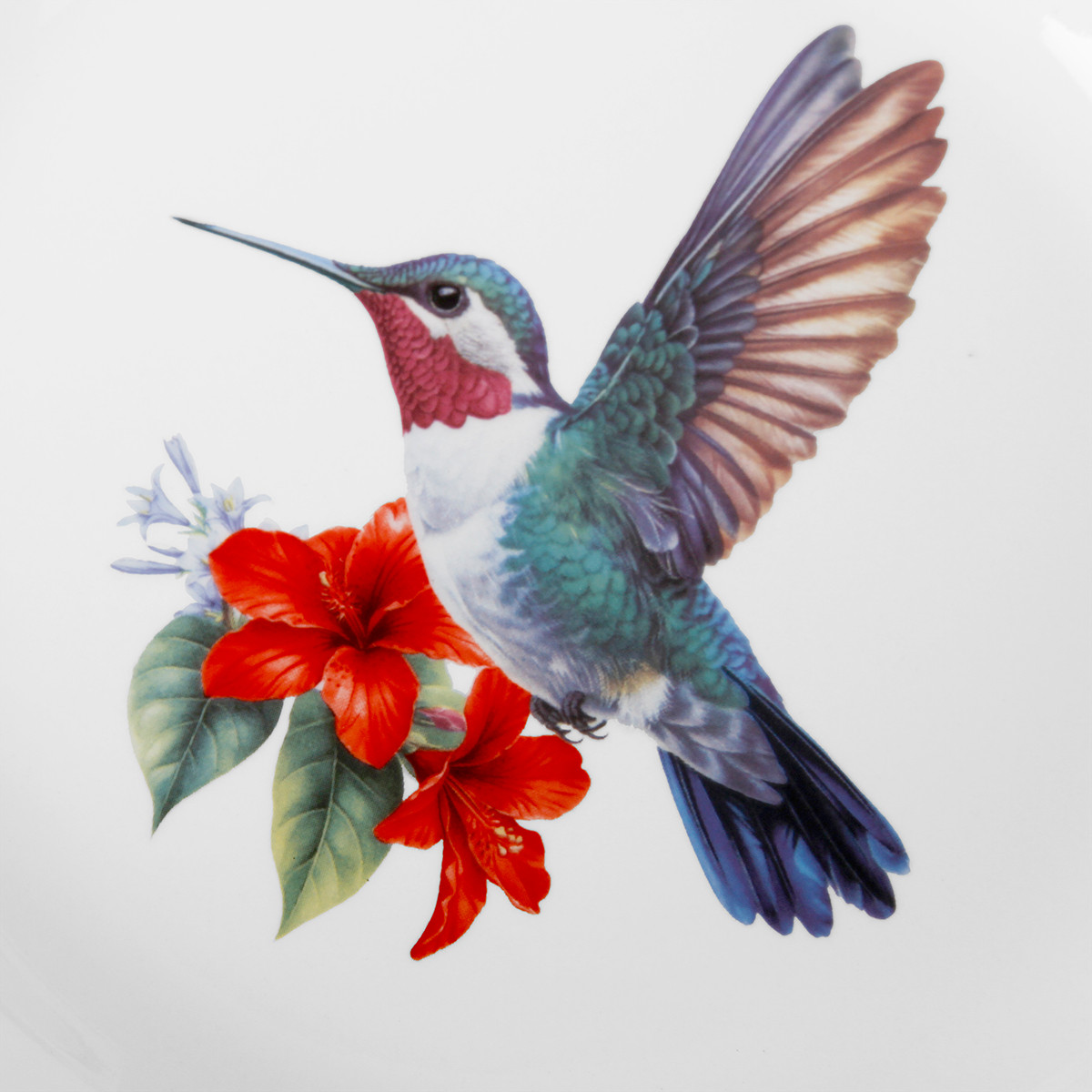 Набор суповых тарелок Pomi d'Oro Colibri / P300016 (4шт) — фото 6