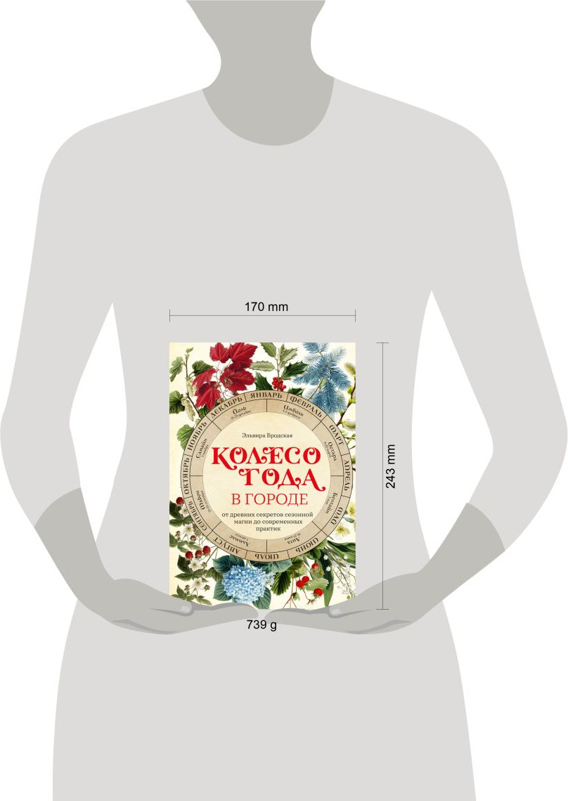 Нехудожественная книга Эксмо Колесо Года в городе (Бродская Э. 9785042023446) — фото 4