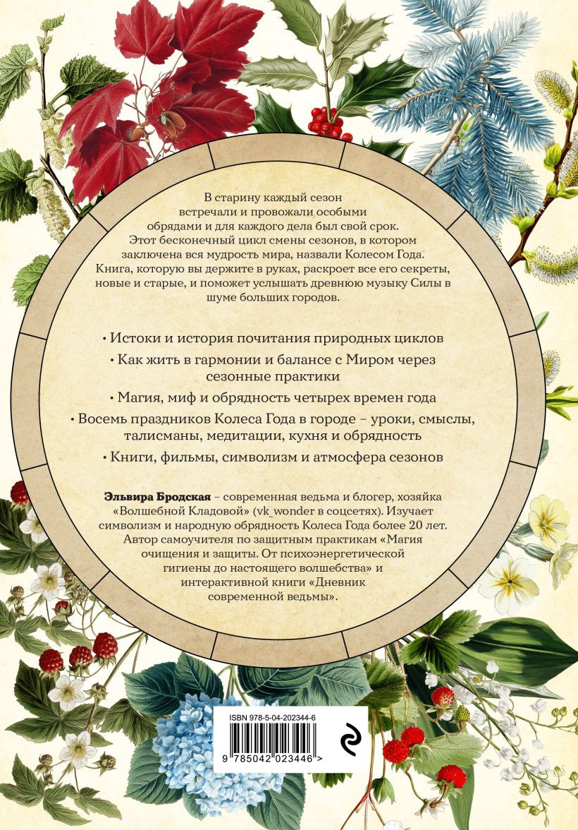 Нехудожественная книга Эксмо Колесо Года в городе (Бродская Э. 9785042023446) — фото 2