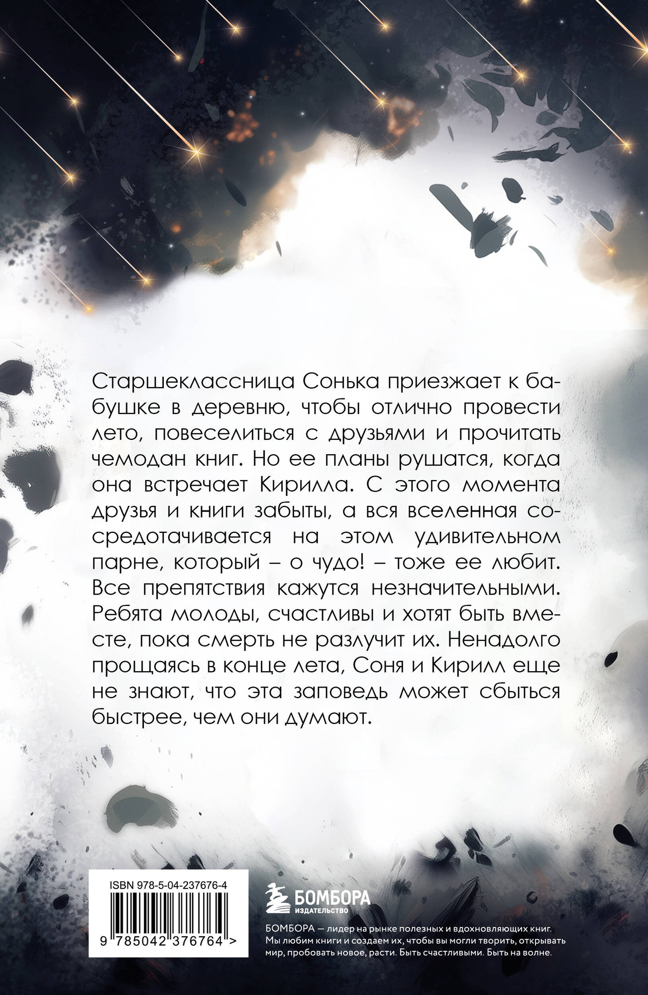Художественная книга Бомбора Под звездным дождем (Рейн М. 9785042376764) — фото 2