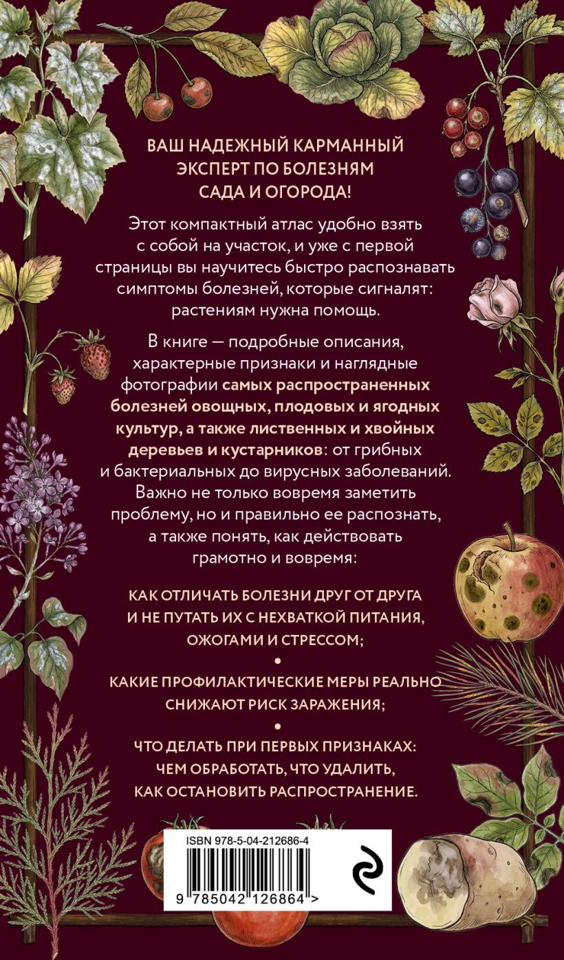 Нехудожественная книга Эксмо Болезни сада и огорода (Яблонева Ирина 9785042126864) — фото 2
