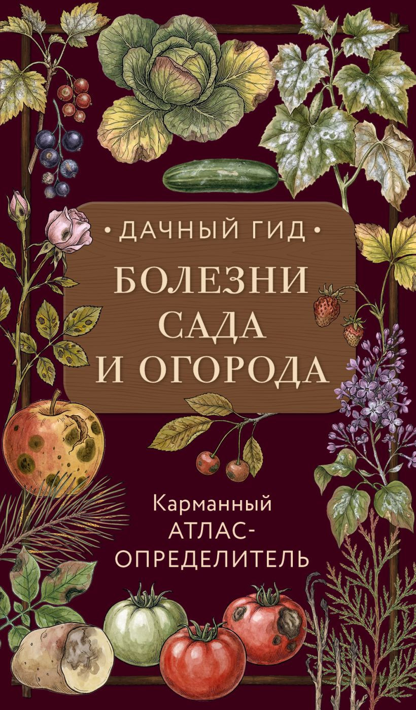 Нехудожественная книга Эксмо Болезни сада и огорода (Яблонева Ирина 9785042126864)