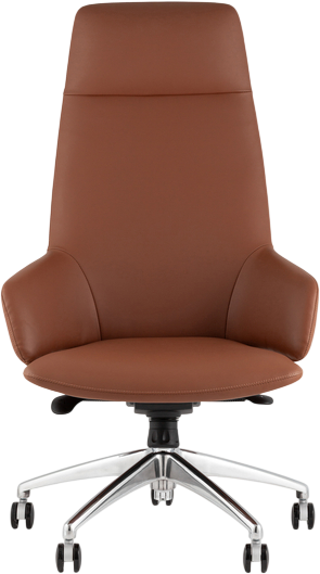 Кресло офисное TopChairs Bow A332 270-30 (шоколадный)
