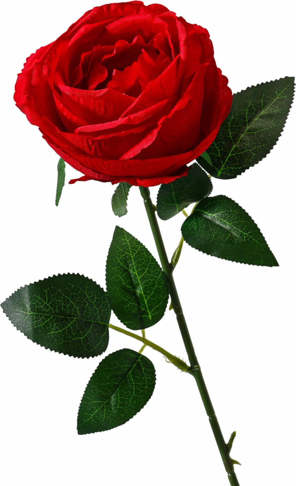 Искусственные цветы Poetry in flowers Роза Охара / 3794248 (красный) — фото 3