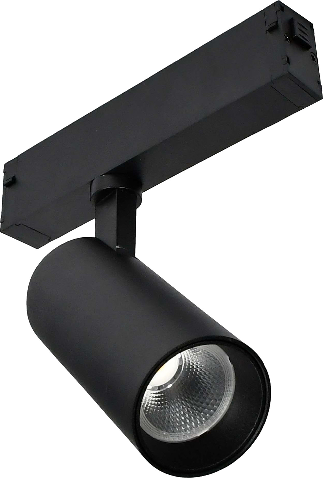 Трековый светильник ST Luce ST660.446.10H
