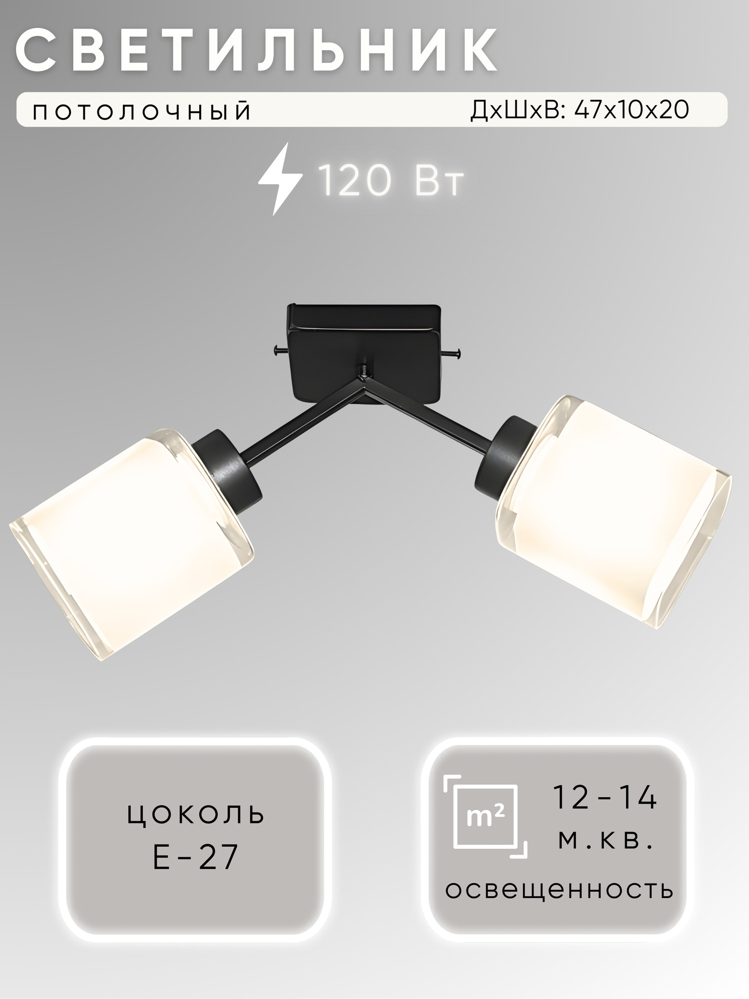 Потолочный светильник Aitin-Pro НПБ 02-2x60-102 / N6916/2 (черный)