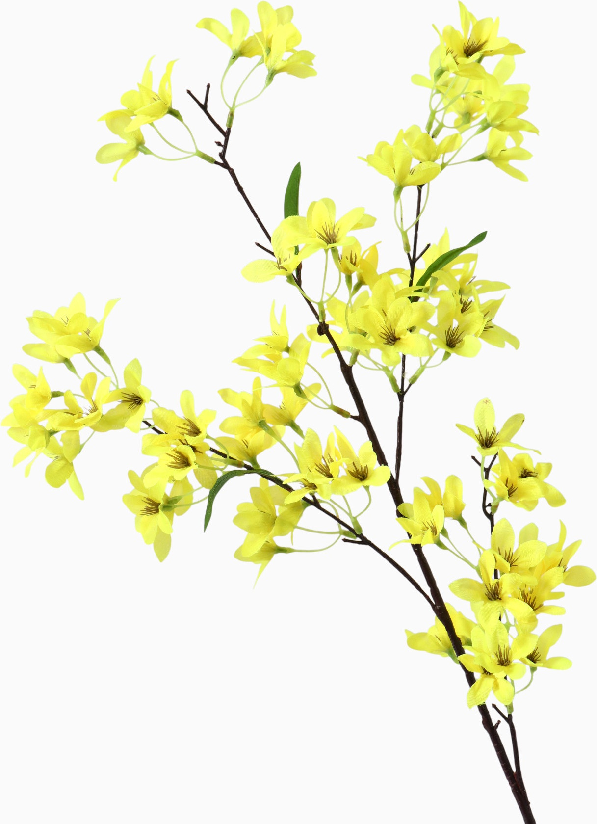 Искусственные цветы Poetry in flowers Акация / 3562533 (желтый) — фото 2