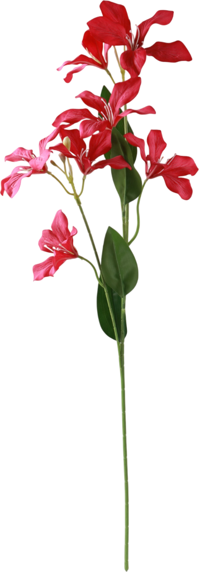 Искусственный цветок Poetry in flowers Баухиния пестрая / 10935345 (малиновые)