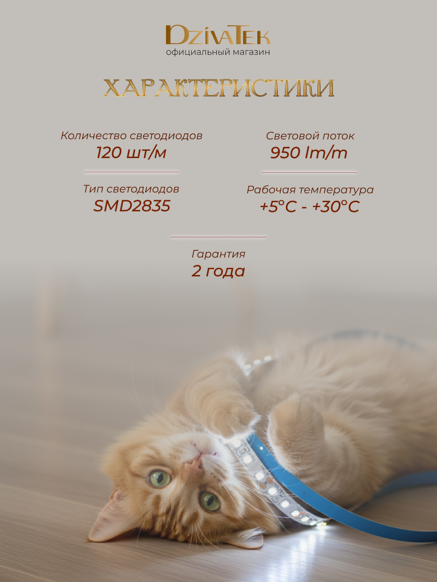 Светодиодная лента DzivaTek 56006 (5м) — фото 6