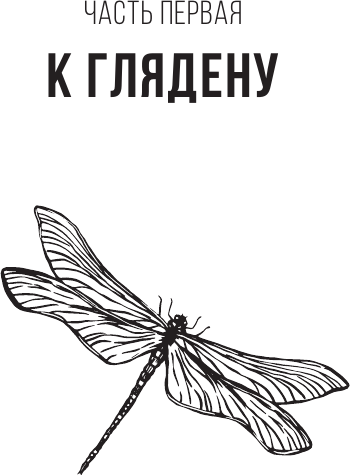 Художественная книга АСТ Гляден (Рачунь А. 9785171825881) — фото 5