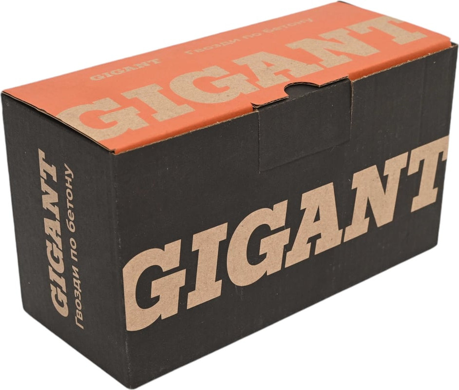 Гвозди для пистолета Gigant GGN-30519-P (1000шт)