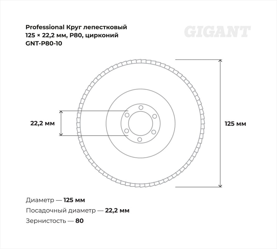 Набор шлифовальных кругов Gigant GNT-P80-10 (10шт) — фото 6