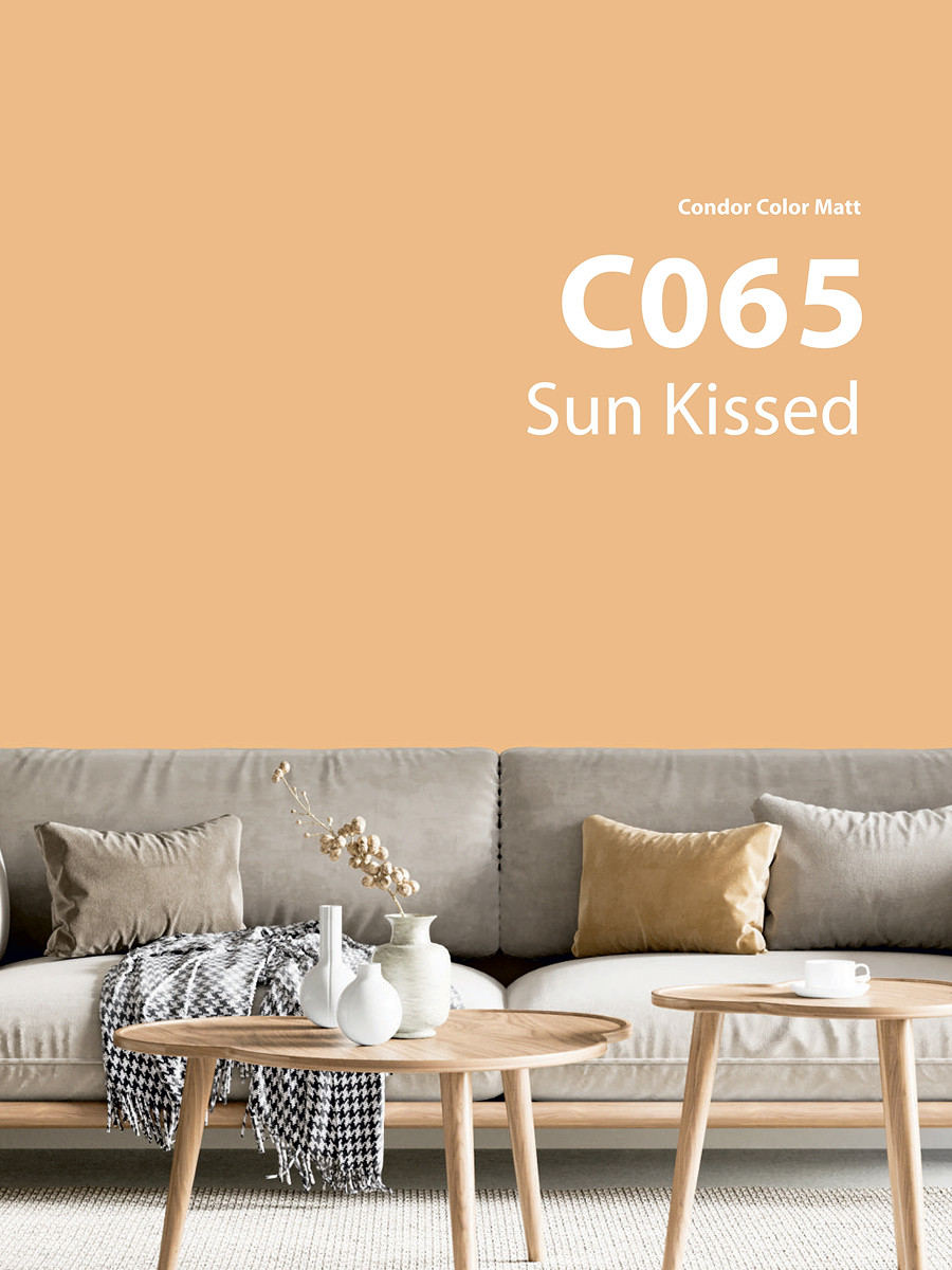 Краска CONDOR Color Matt Sun Kissed С065 (3.4кг) — фото 2