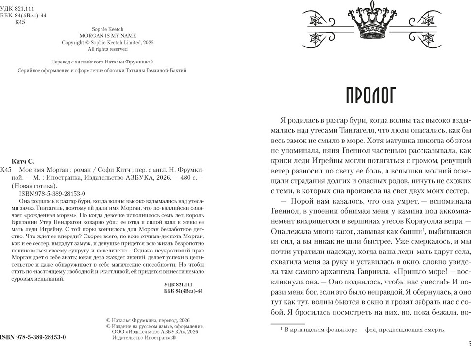 Художественная книга Иностранка Мое имя Морган (Китч С. 9785389281530) — фото 2