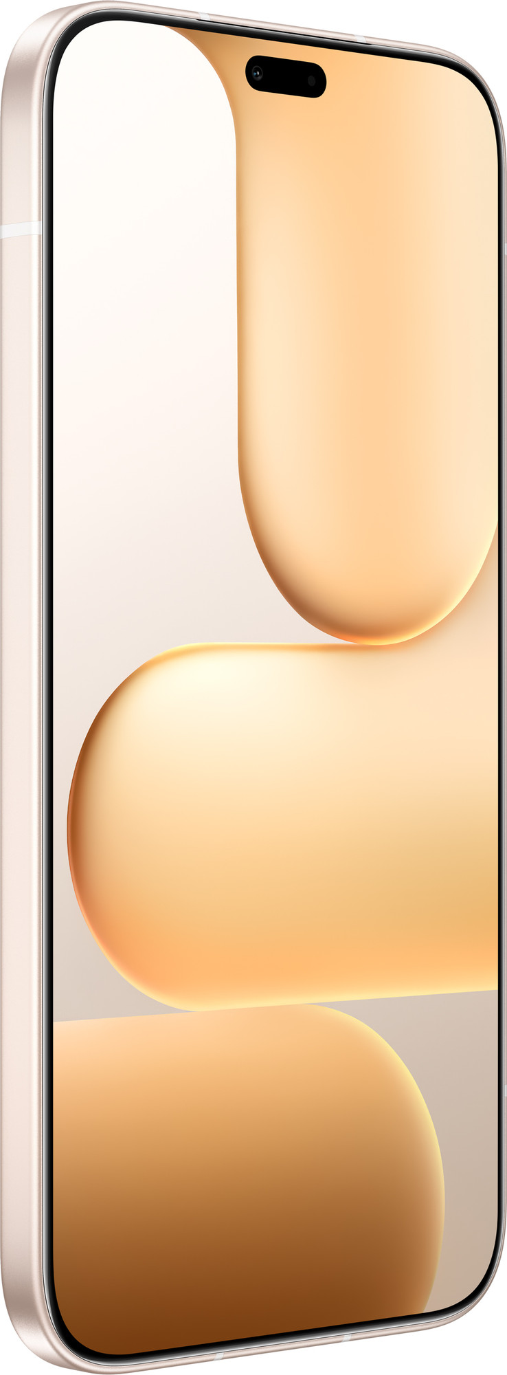 Смартфон HONOR 600 Lite 8GB/256GB (пустынный золотой) — фото 3