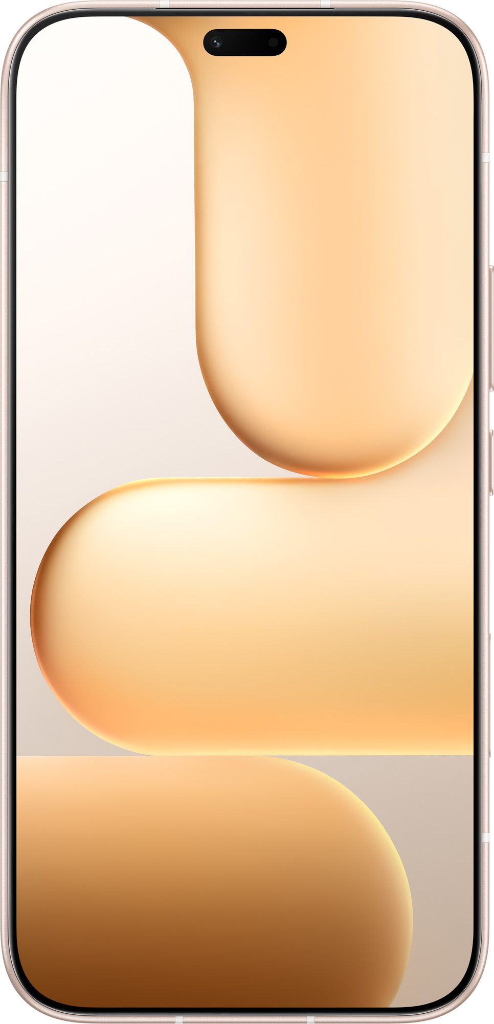 Смартфон HONOR 600 Lite 8GB/256GB (пустынный золотой) — фото 2