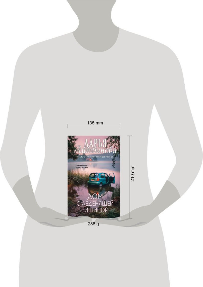 Художественная книга Эксмо Дом с леденящей тишиной (Литвинова Дарья 9785042345968) — фото 4