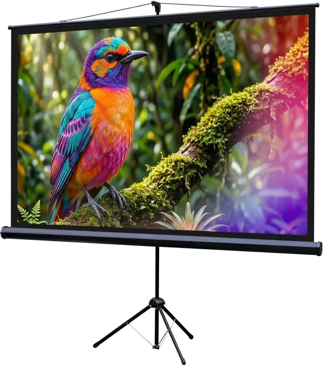 Проекционный экран Lumien Eco Picture 110x192см / LEV-100113