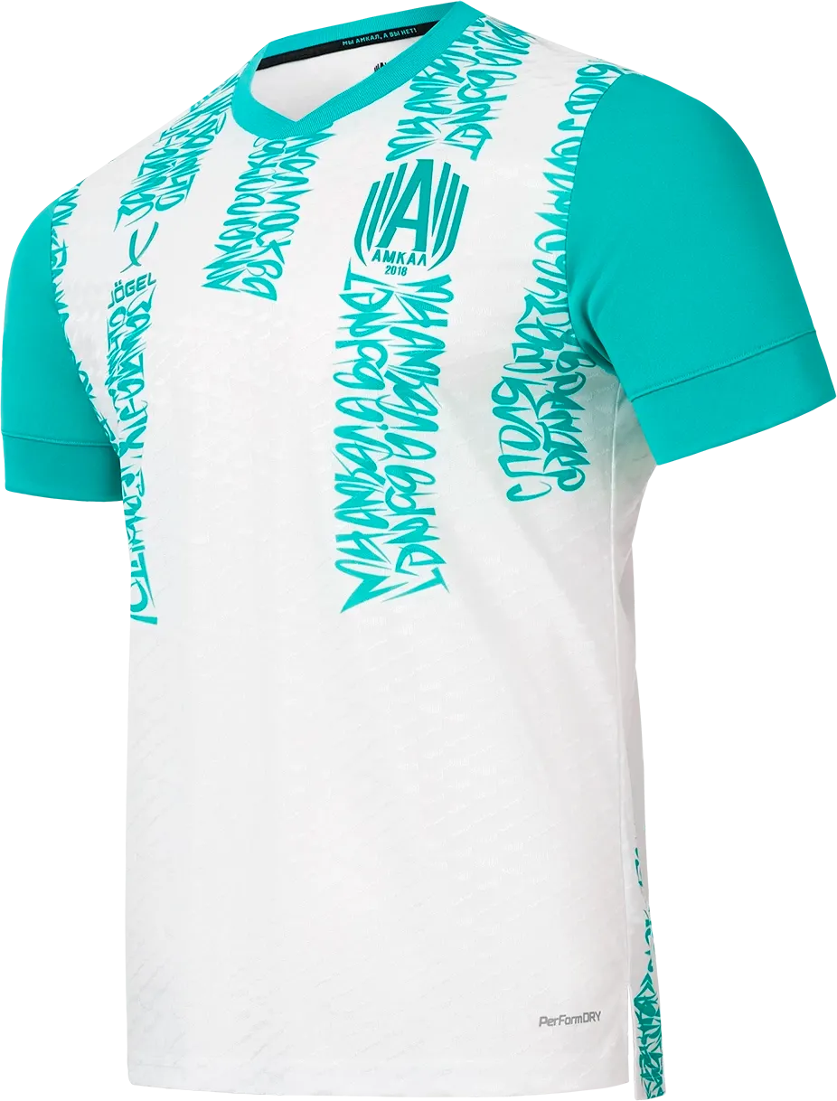 Футболка игровая футбольная Jogel Amkal PerFormDRY Jersey (L, белый/бирюзовый)