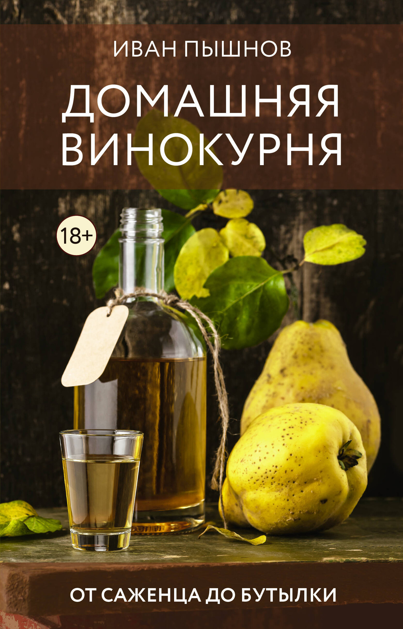 Нехудожественная книга АСТ Домашняя винокурня. От саженца до бутылки (Пышнов И. 9785171635961)