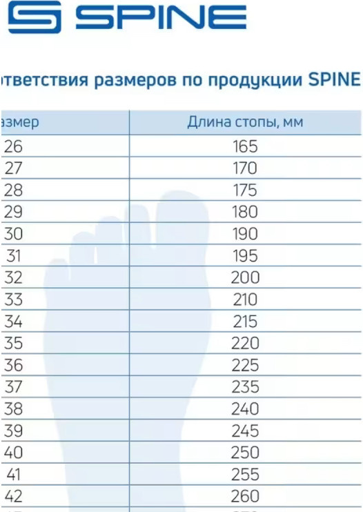 Ботинки для беговых лыж Spine Viper Pro 251 NNN / 043334 (р-р 36) — фото 5
