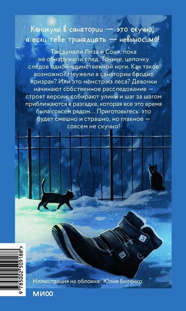 Художественная книга МИФ Тайна одной ноги (Зайцева Александра, Комарова Ксения) — фото 2