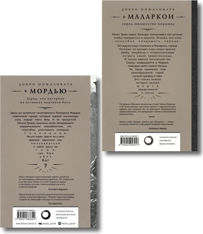 Набор художественных книг Эксмо Город мертвого бога. Город Госпожи Забвения (Феби Алекс 9785042408786) — фото 6