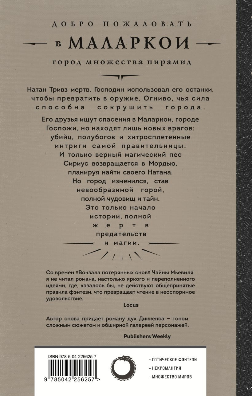 Набор художественных книг Эксмо Город мертвого бога. Город Госпожи Забвения (Феби Алекс 9785042408786) — фото 5