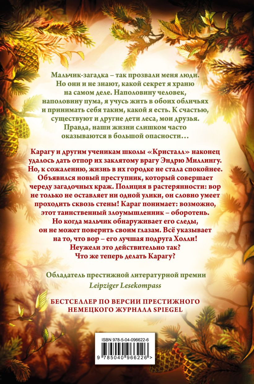 Художественная книга Эксмо Тайна Холли (Брандис К. 9785042422362) — фото 3