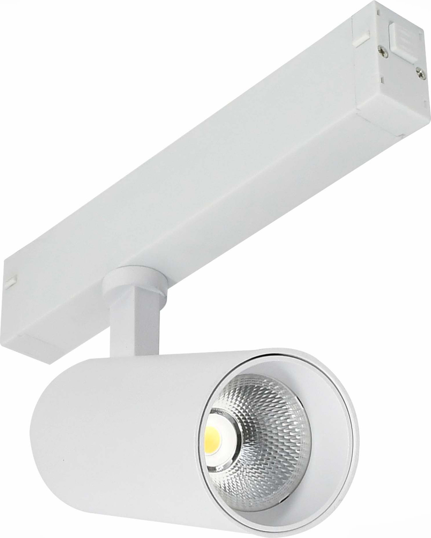 Трековый светильник ST Luce ST660.596.20H