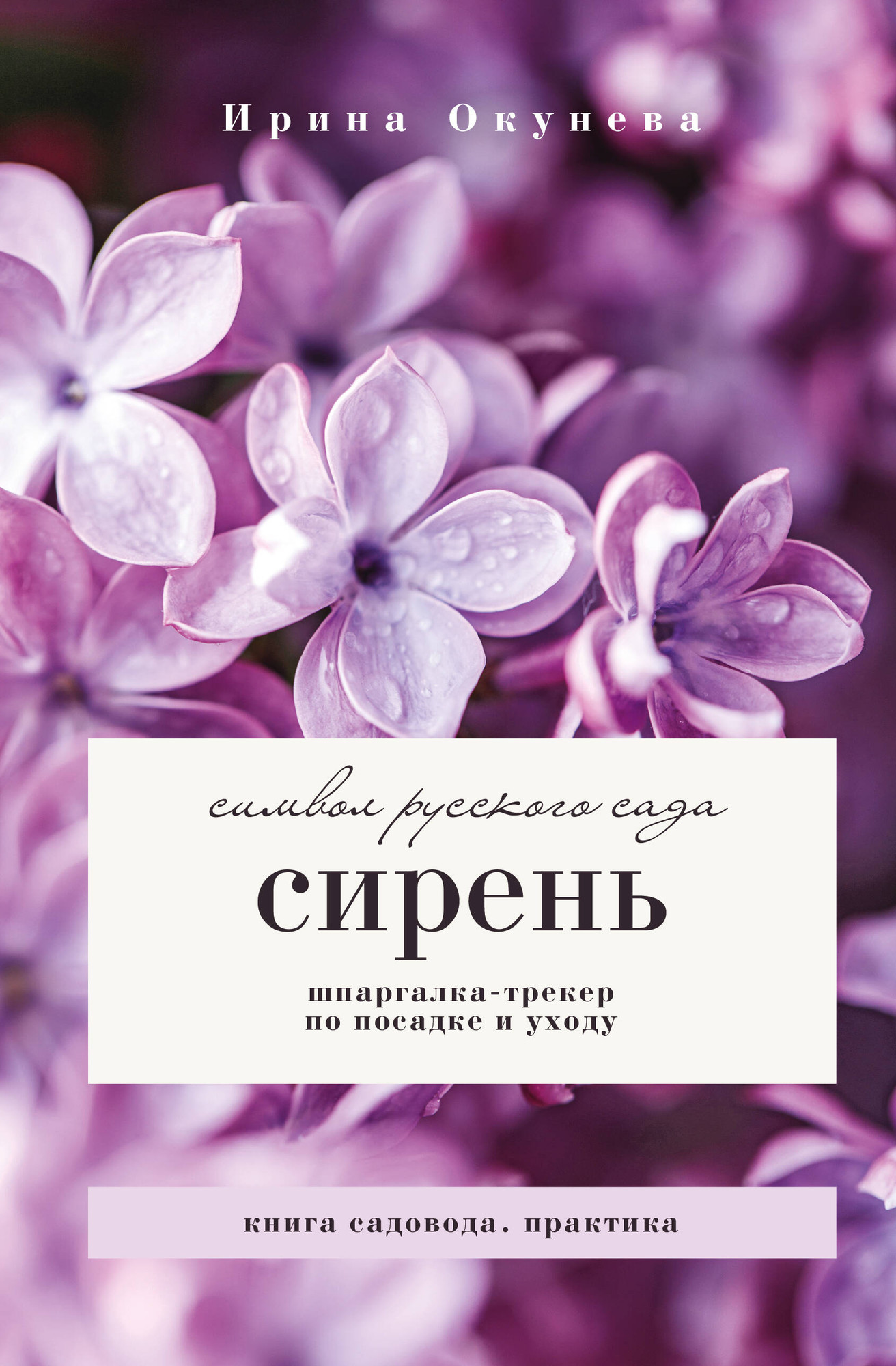 Нехудожественная книга АСТ Сирень. Символ русского сада (Окунева И. 9785171816124)