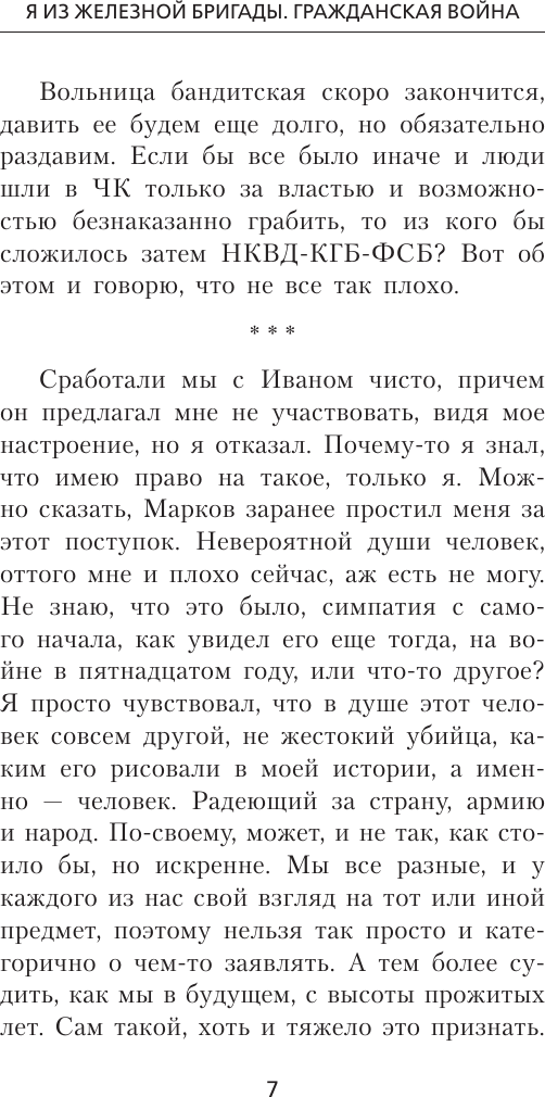 Художественная книга АСТ Я из Железной Бригады. Гражданская война (Мишин В. 9785171838744) — фото 4