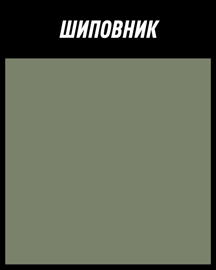 Эмаль Goldbastik по дереву и OSB 104 (1кг, шиповник) — фото 4