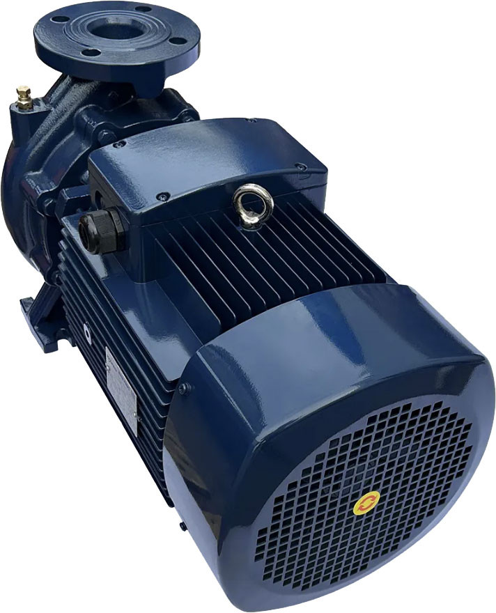 Циркуляционный насос Maxpump F 50-250/220 — фото 6
