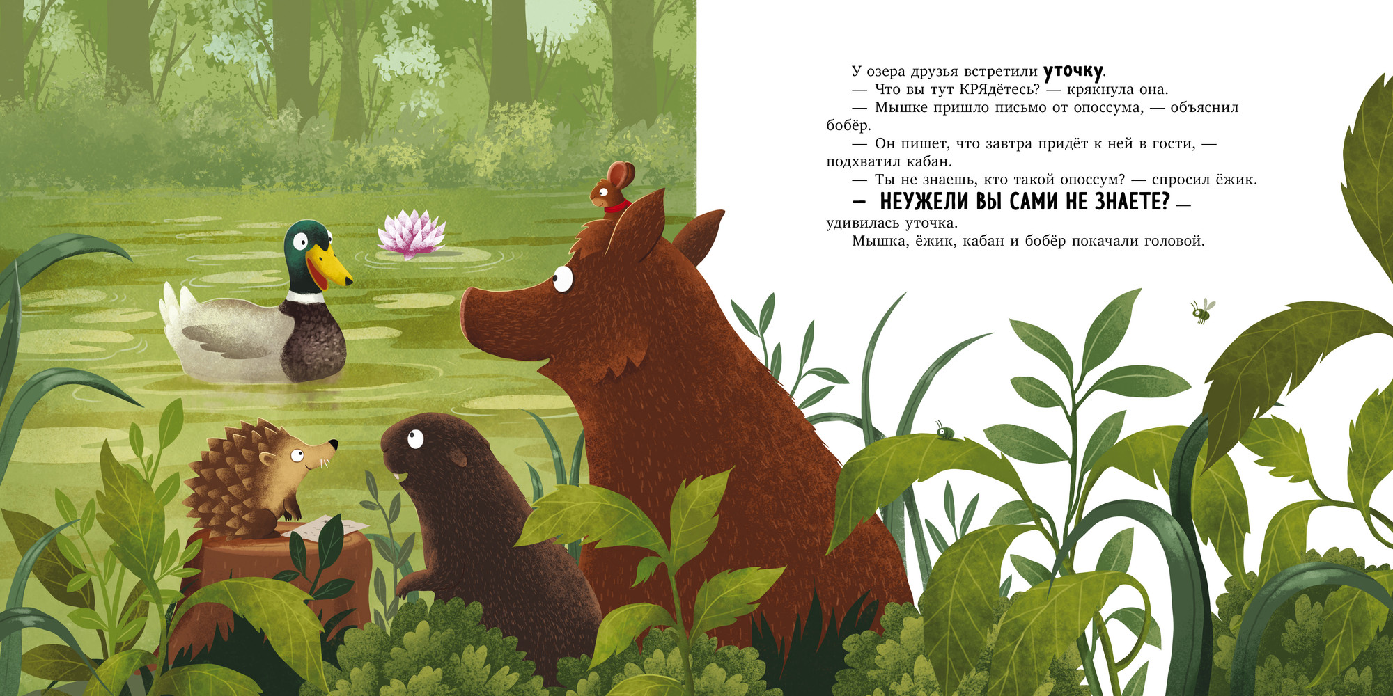 Художественная книга CLEVER Книжки-картинки. Кто такой опоссум?, твердая обложка (Больманн Сабина, Дзюбак Эмилия) — фото 3