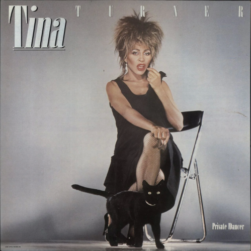 Виниловая пластинка Parlophone Tina Turner - Private Dancer