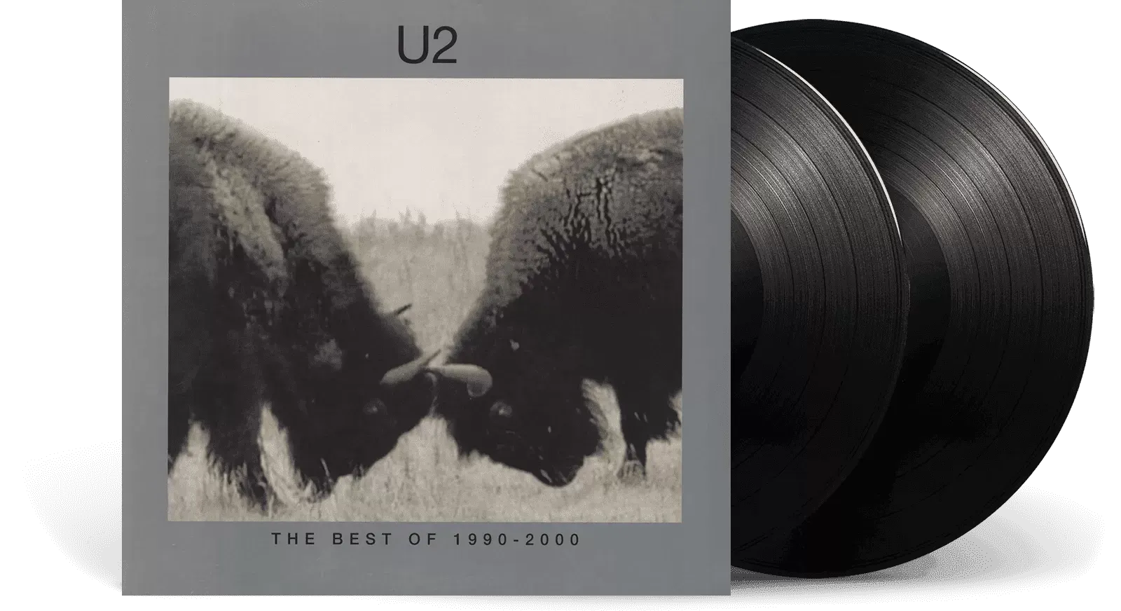 Виниловая пластинка Island Records U2 - The Best Of 1990 - 2000 — фото 2