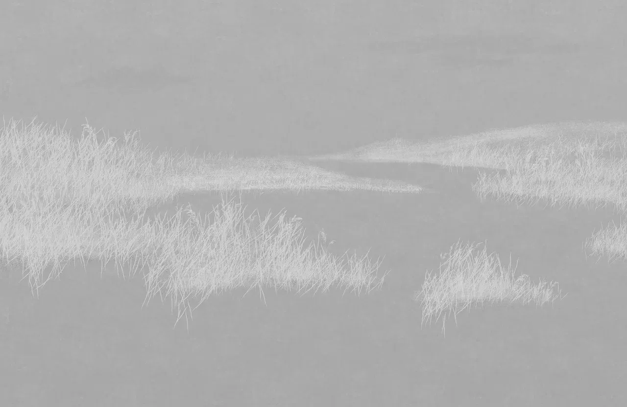 Фотообои листовые Mio Tesoro Невесомость 61 (400x260) — фото 3