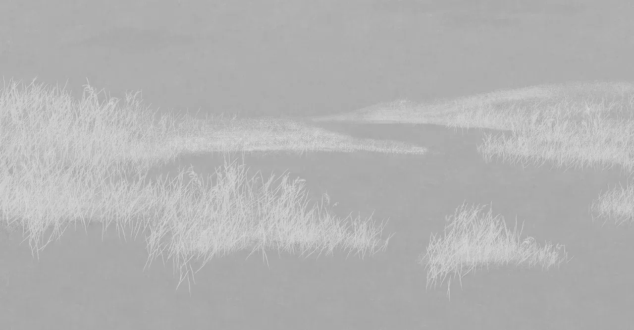 Фотообои листовые Mio Tesoro Невесомость 61 (500x260) — фото 3
