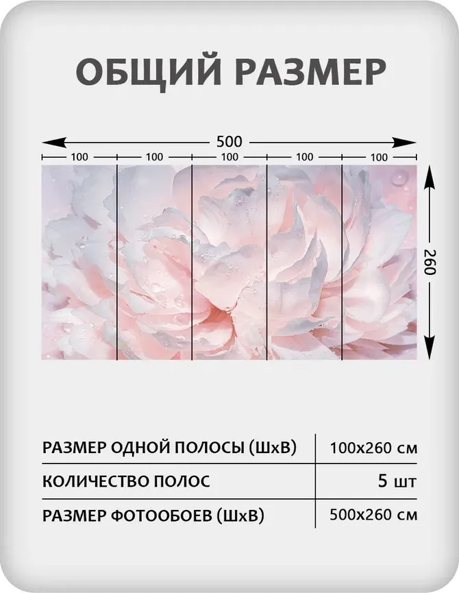 Фотообои листовые Mio Tesoro Цветы и Растения 40 (500x260) — фото 2
