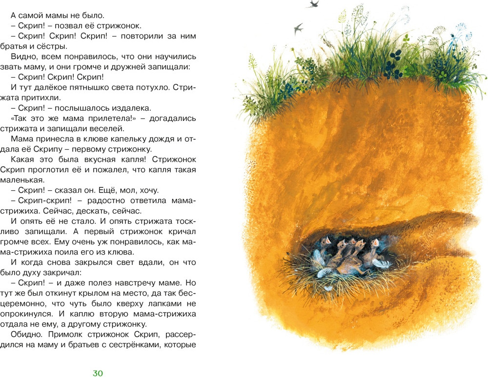Художественная книга Махаон Васюткино озеро. Рассказы (Астафьев В. 9785389318854) — фото 6