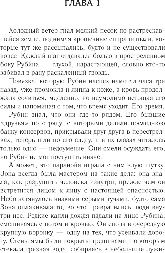 Художественная книга АСТ Истребитель Зоны (Строков И., Таро В. 9785171806798) — фото 2