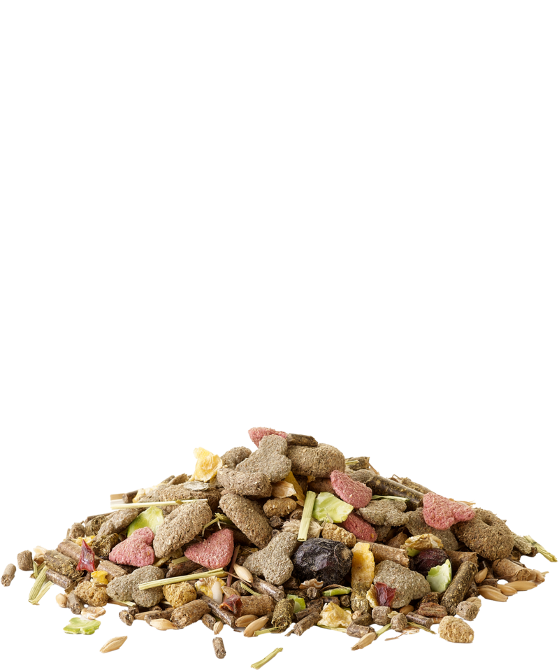 Корм для грызунов Versele-Laga Crispy Muesli Guinea Pigs / 461805 (850г) — фото 3