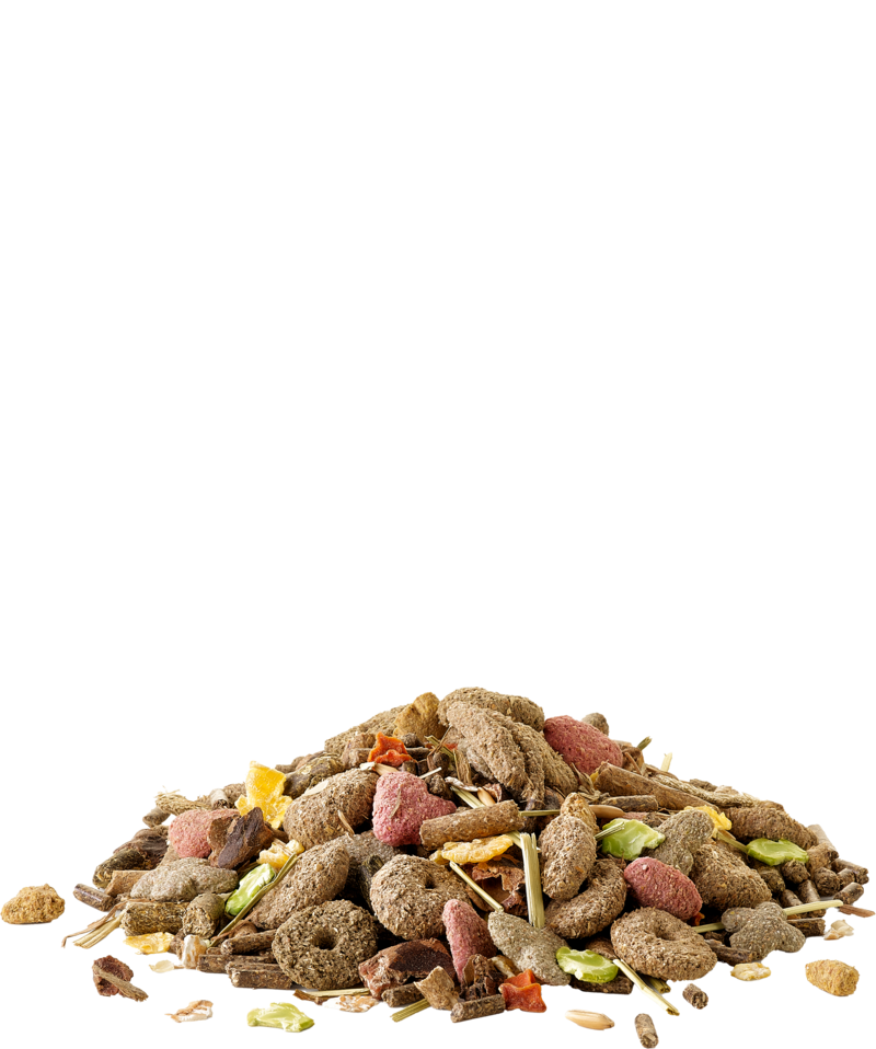 Корм для грызунов Versele-Laga Crispy Muesli Rabbits / 461801 (850г) — фото 3