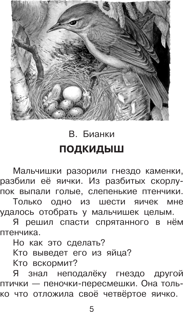 Художественная книга АСТ Все лучшие рассказы о животных (Бианки В. и др. 9785171840846) — фото 6