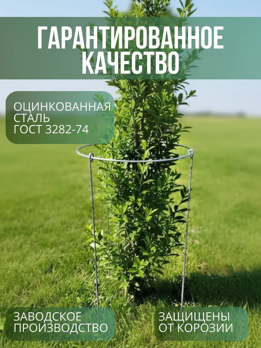 Опора для растений ARTELIKA С кругом для цветов и кустов 20х40см (3шт) — фото 3