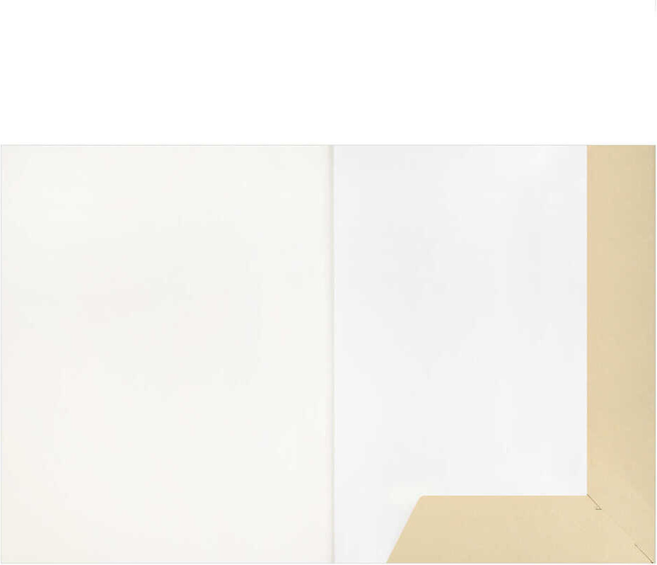 Набор бумаги для рисования Феникс+ Львица / 73992 (10л) — фото 4