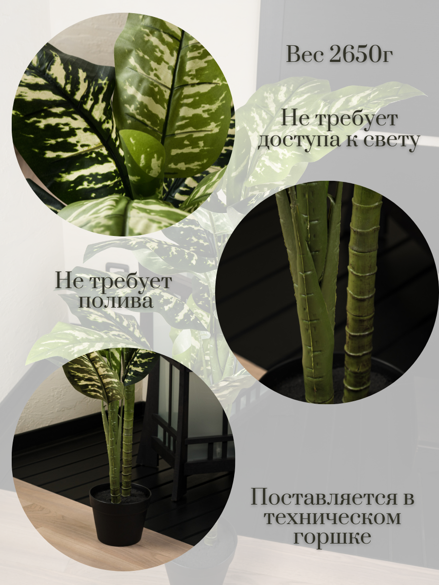 Искусственное растение Merry Bear Home Decor Диффенбахия AG27120 — фото 3